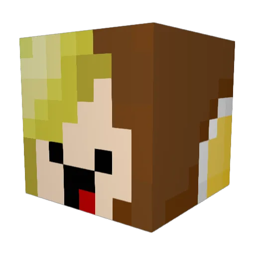 Vansunny Minecraft avatar head, 3D render