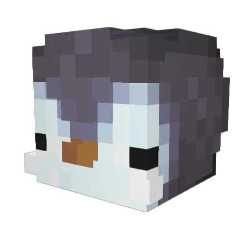 VantaStarz Minecraft avatar head, 3D render