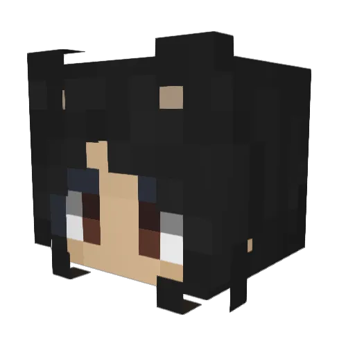 Vanvanqt Minecraft avatar head, 3D render