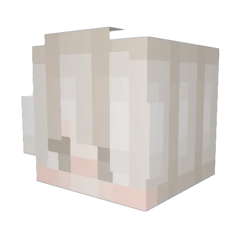 VanyaPRO1010 Minecraft avatar head, 3D render