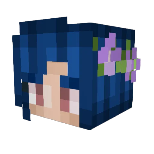 Vap0rz Minecraft avatar head, 3D render