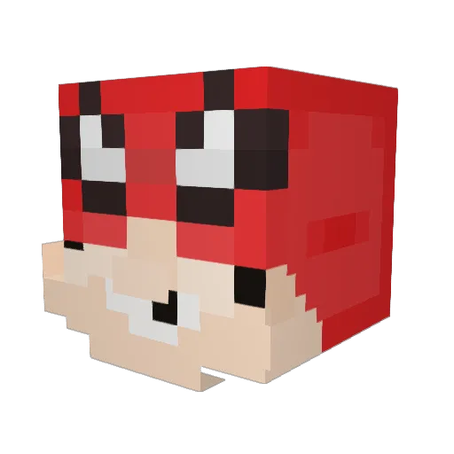 VapeMaster67 Minecraft avatar head, 3D render