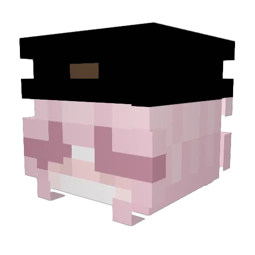 Vape_v14 Minecraft avatar head, 3D render