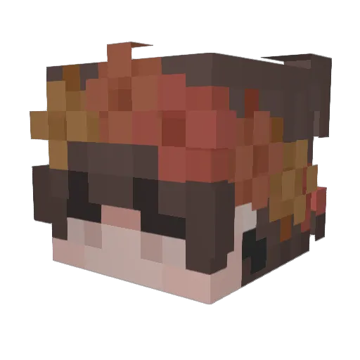 VapidKiwi868 Minecraft avatar head, 3D render