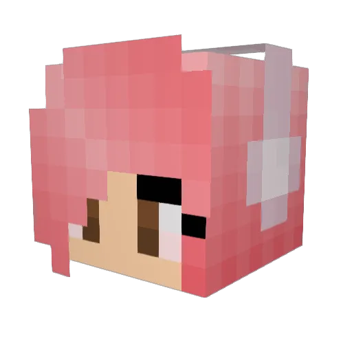 Vapidleader995 Minecraft avatar head, 3D render