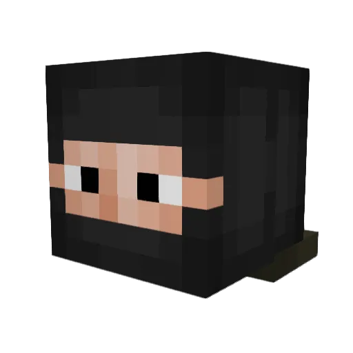 VaporPrince Minecraft avatar head, 3D render