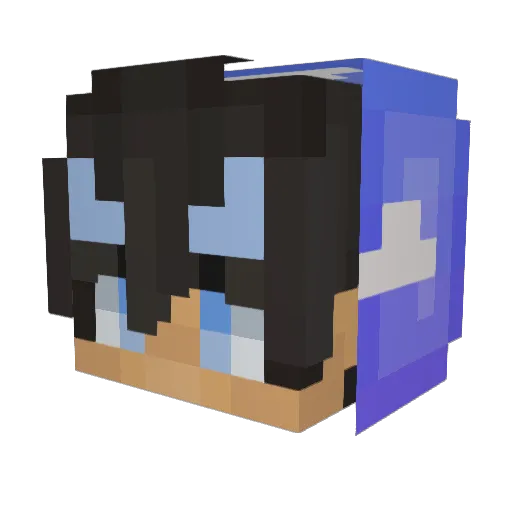 VaporSZN Minecraft avatar head, 3D render