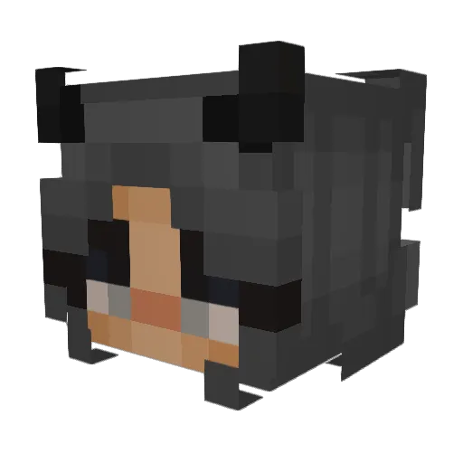 Vaporfly_Next Minecraft avatar head, 3D render
