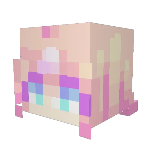 Vapororo Minecraft avatar head, 3D render
