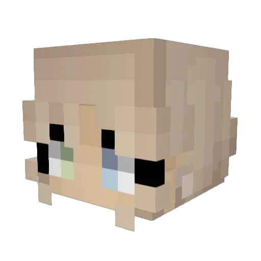 Vaporpix Minecraft avatar head, 3D render