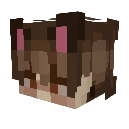 Vaportrash Minecraft avatar head, 3D render
