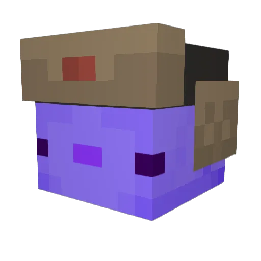 Vaporyleader1 Minecraft avatar head, 3D render