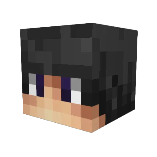 Vaprizer Minecraft avatar head, 3D render