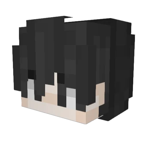 VaqedNL Minecraft avatar head, 3D render