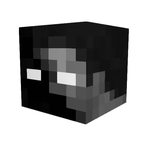Var1etyguy Minecraft avatar head, 3D render