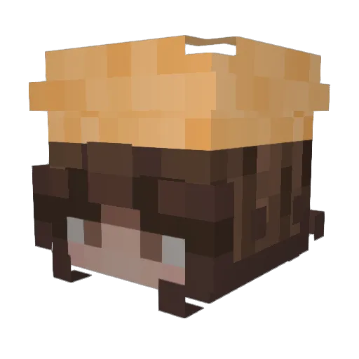 VarTess Minecraft avatar head, 3D render