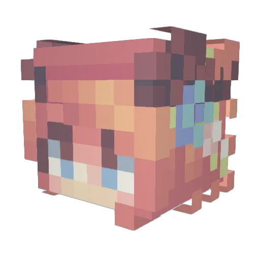 Varatoja Minecraft avatar head, 3D render