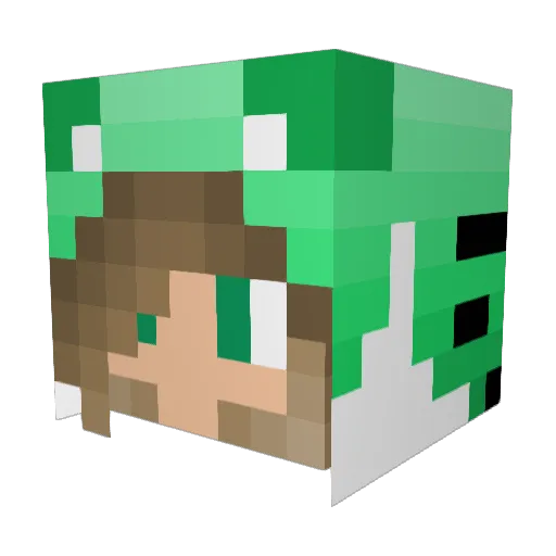 Vardas2323 Minecraft avatar head, 3D render