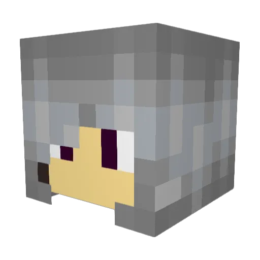 Vardens2 Minecraft avatar head, 3D render