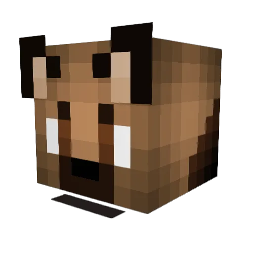 VardinDrain Minecraft avatar head, 3D render