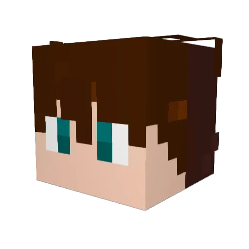 Vari3ty Minecraft avatar head, 3D render