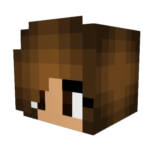 VariableCube541 Minecraft avatar head, 3D render