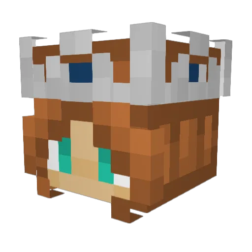 VariableRain Minecraft avatar head, 3D render
