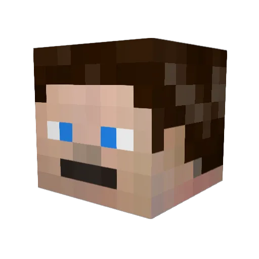 Variadicism Minecraft avatar head, 3D render