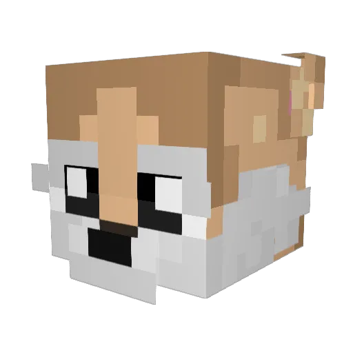 Varimosa Minecraft avatar head, 3D render