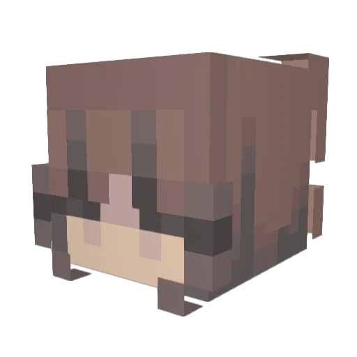 Varis_o3l Minecraft avatar head, 3D render