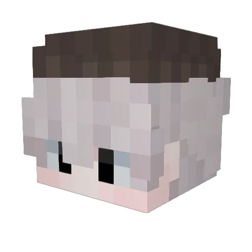 Varliuz Minecraft avatar head, 3D render