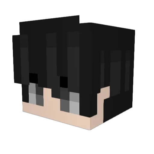 Varuniscool Minecraft avatar head, 3D render
