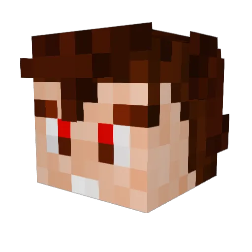 Vasaltor Minecraft avatar head, 3D render