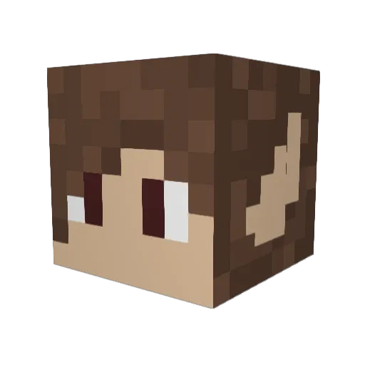 Vasarakoura Minecraft avatar head, 3D render