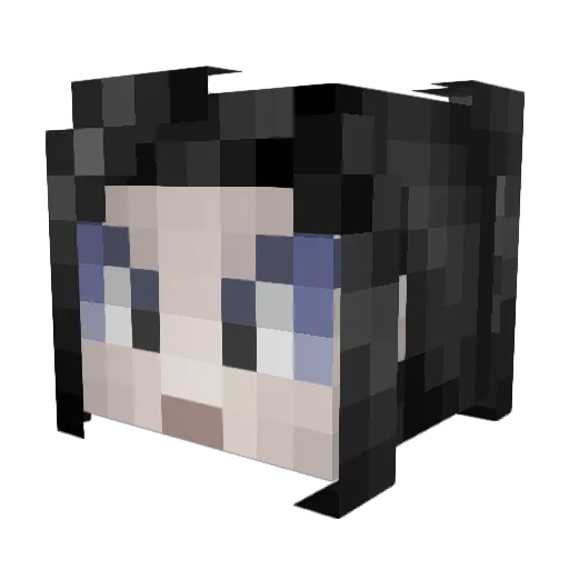Vasaren Minecraft avatar head, 3D render