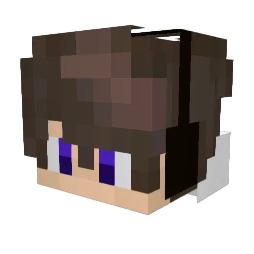 Vasek144 Minecraft avatar head, 3D render