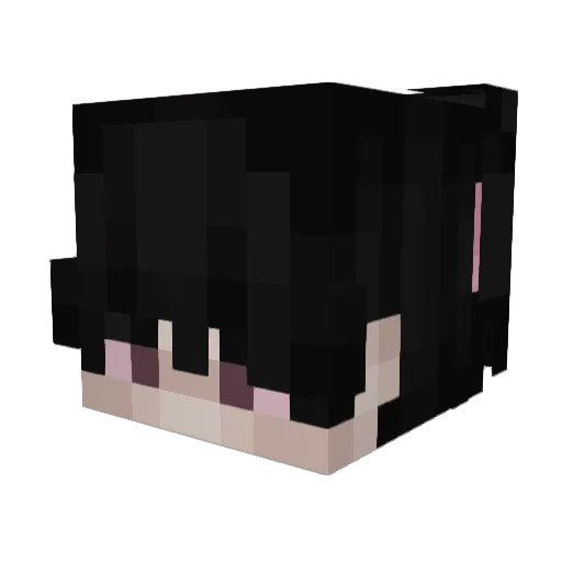 Vasek6424 Minecraft avatar head, 3D render