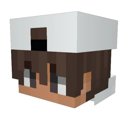 Vasek_S929 Minecraft avatar head, 3D render