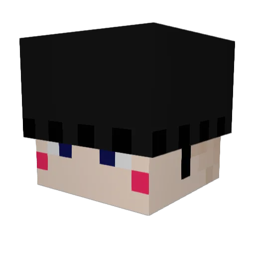 VaselineGoblin Minecraft avatar head, 3D render