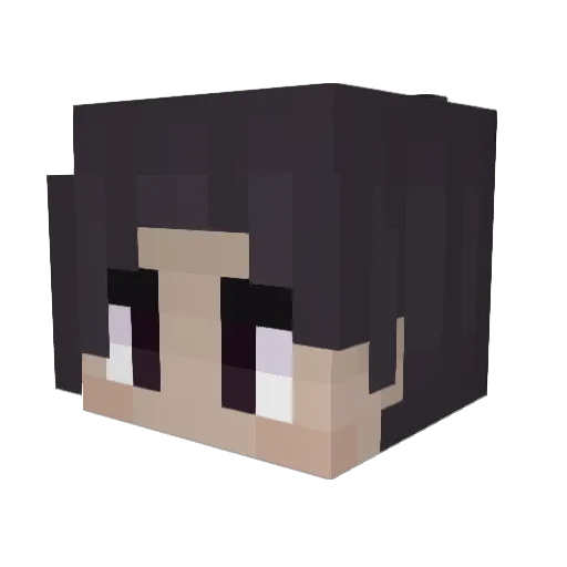 Vasenox Minecraft avatar head, 3D render