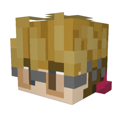 Vash999 Minecraft avatar head, 3D render