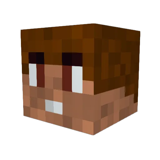 VashChi Minecraft avatar head, 3D render