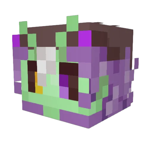 VashSolar Minecraft avatar head, 3D render