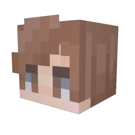 VashTheVicar Minecraft avatar head, 3D render