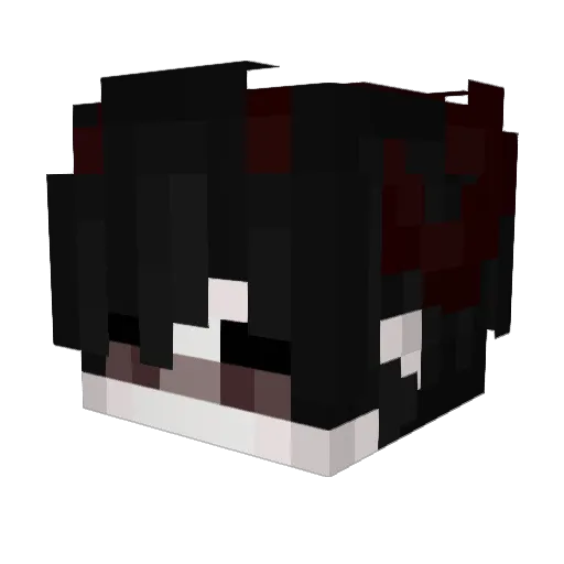 VashThestanpid Minecraft avatar head, 3D render