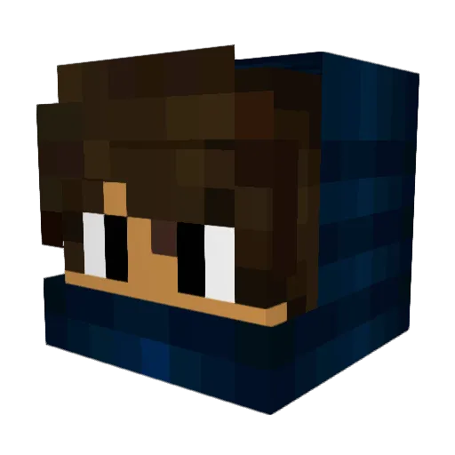 Vashhhhh Minecraft avatar head, 3D render
