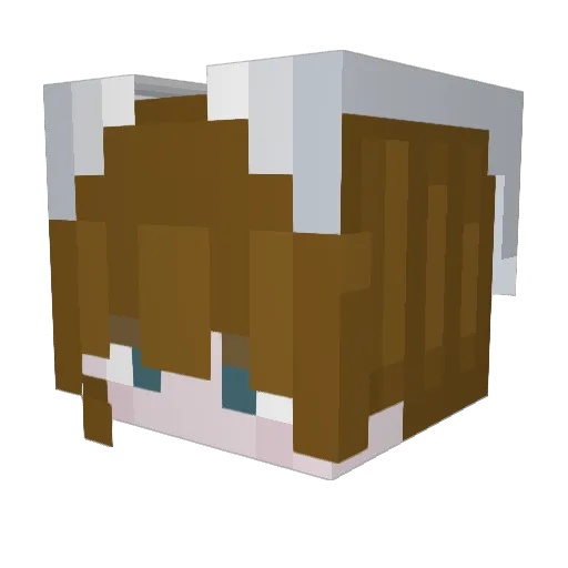 Vashirai Minecraft avatar head, 3D render