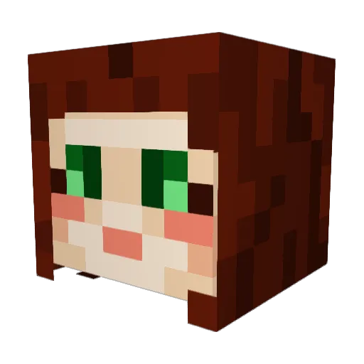 Vashor Minecraft avatar head, 3D render