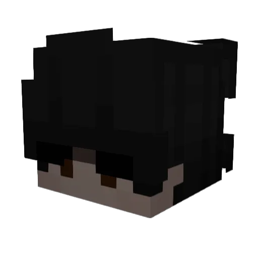 Vashuus Minecraft avatar head, 3D render