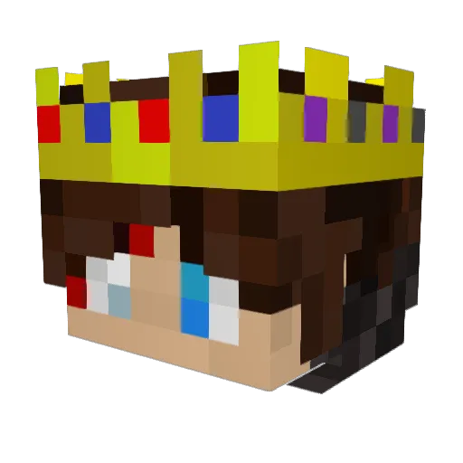 Vasiterm Minecraft avatar head, 3D render